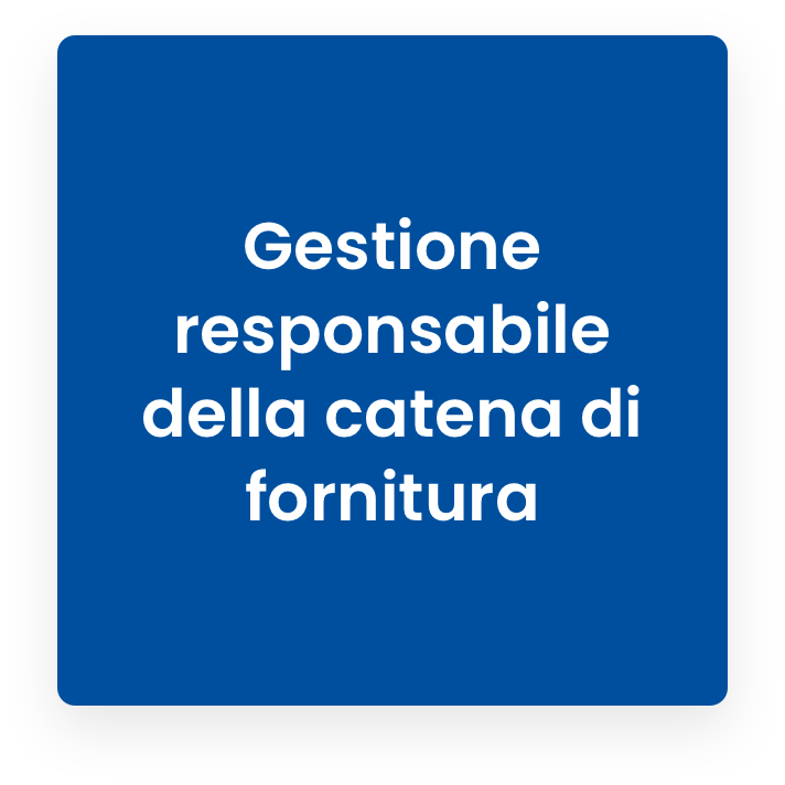 catena di fornitura